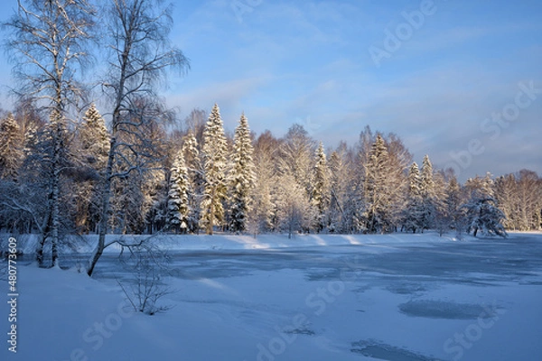 Obraz Beautiful winter landscape.