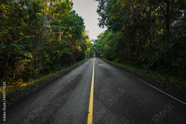 Fototapeta road in autumn forest