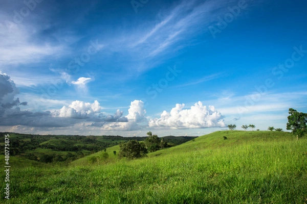 Fototapeta landscape with clouds
