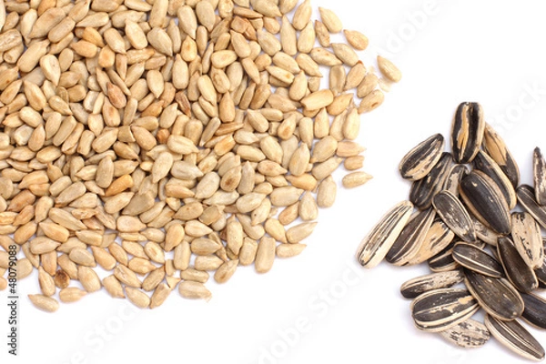 Obraz dry roasted sunflower seeds