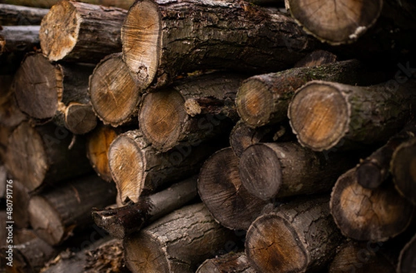 Obraz stack of wood