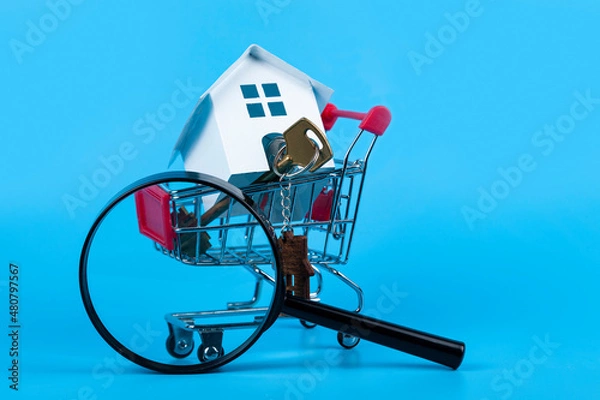 Obraz Find a home or a flat concept.