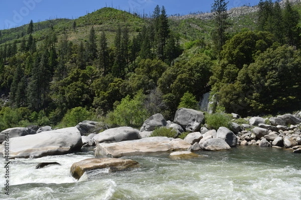 Obraz Plumas National Forest