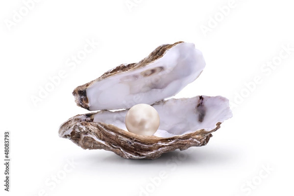 Fototapeta Huitre perlire