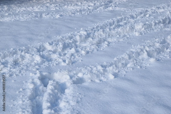 Fototapeta Snow texture