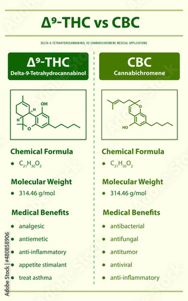 Fototapeta ∆9-THC vs CBC, Delta 9 Tetrahydrocannabinol vs Cannabichromene vertical infographic