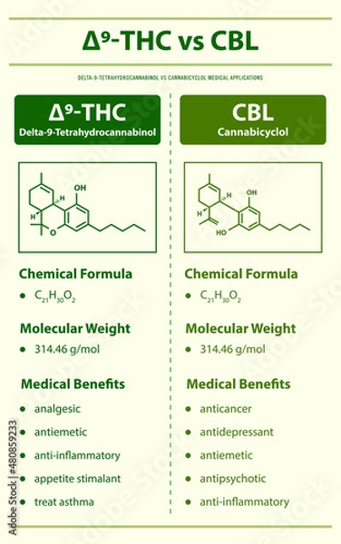 Fototapeta ∆9-THC vs CBL, Delta 9 Tetrahydrocannabinol vs Cannabicyclol vertical infographic Complete
