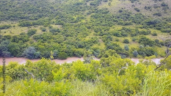 Obraz river track surrounded by trees