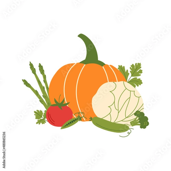 Obraz Vegetables and herbs composition on a white background. Vector flat illustration with pumpkin, cabbage, tomato, peas, cucumber, asparagus, broccoli