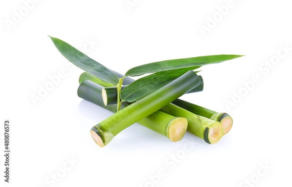 Obraz bamboo isolated on white background