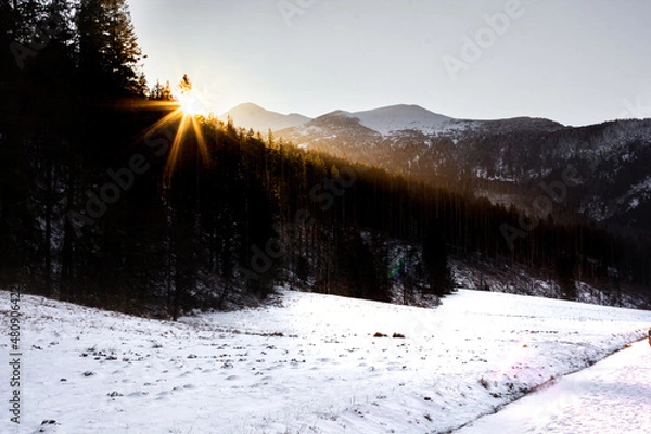 Fototapeta snow-capped peaks, dolina kościeliska, słońce nad drzewami