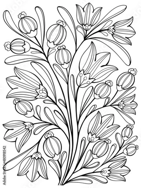 Obraz coloring plants flowers fantastic amazing graphics outline for kids and adults vector sketch hand drawing on white background isolate doodle antistress stroke postcard page