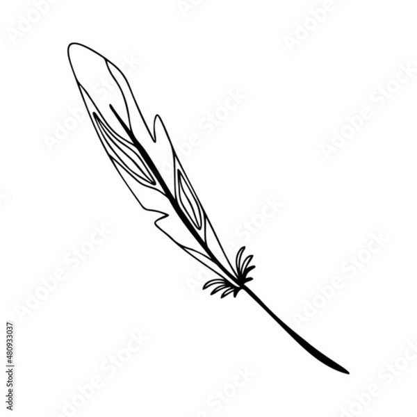 Fototapeta Hand drawn bird feather on a white isolated background. Doodle, simple outline illustration. It can be used for decoration of textile, paper and other surfaces.