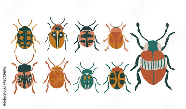 Fototapeta bugs and insects vector illustration