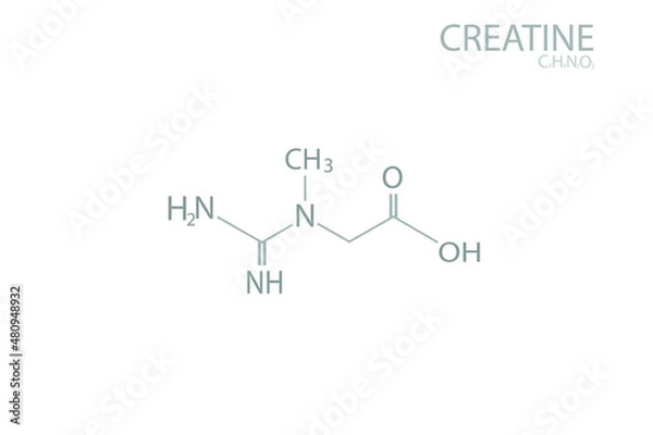 Fototapeta Creatine molecular skeletal chemical formula.	