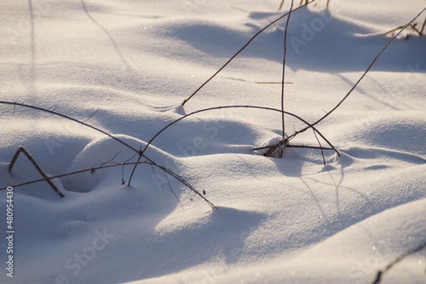 Fototapeta snow covered grass