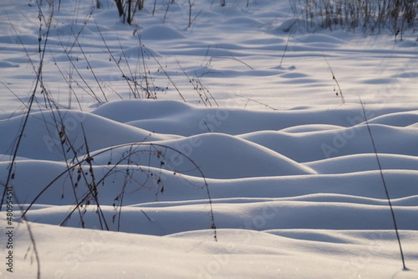 Fototapeta grass in snow