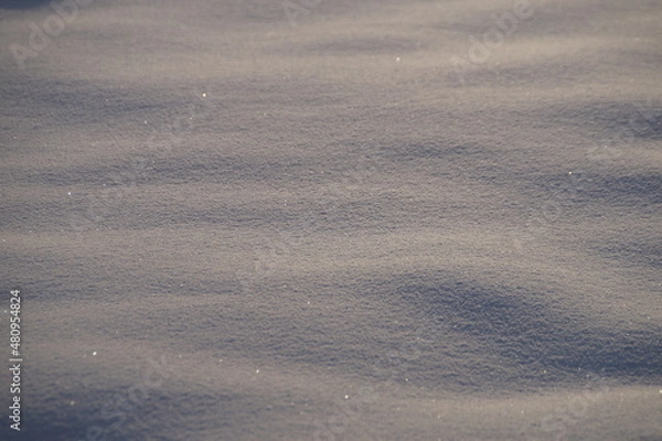 Fototapeta traces on snow