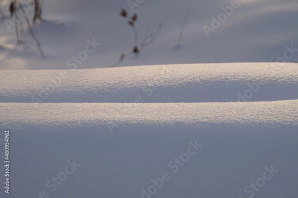 Fototapeta snow covered trees