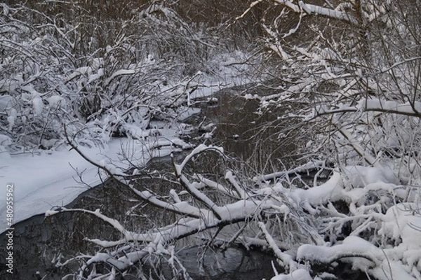 Fototapeta snow covered trees