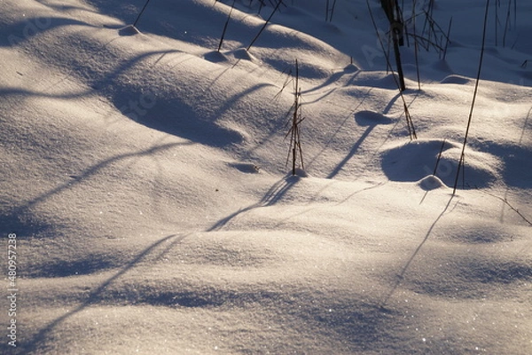 Obraz traces on snow