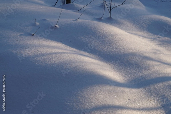 Obraz snow on the road
