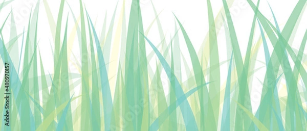 Obraz green grass background illustration