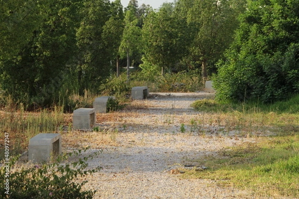 Obraz path in the park