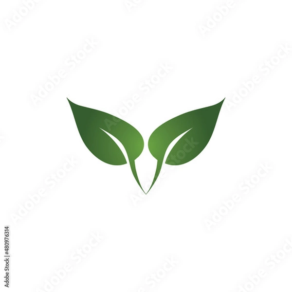 Fototapeta leaf logo icon vector design template