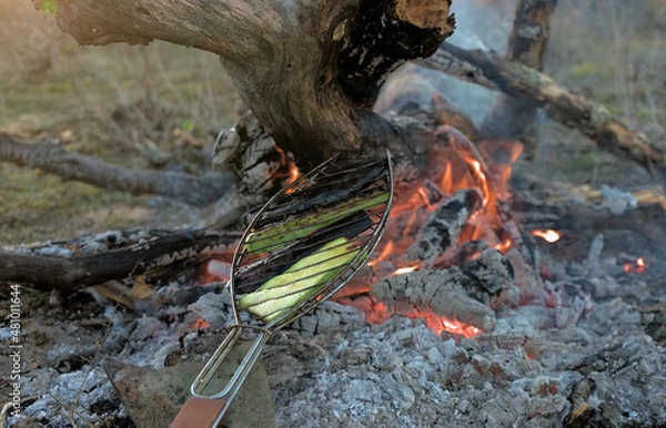Fototapeta Grilled vegetables zucchini and eggplant are fried on an open fire in the wild right on the ground leaning on the branches of burning trees with the sunset in the background.