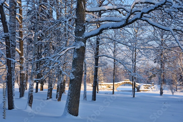 Obraz Beautiful winter landscape.