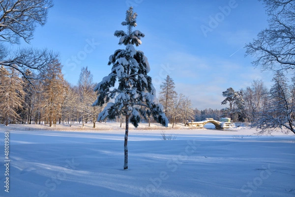 Obraz Beautiful winter landscape.