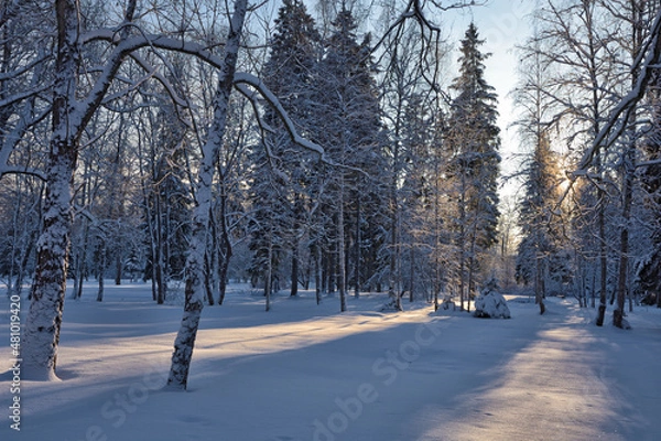 Obraz Beautiful winter landscape.