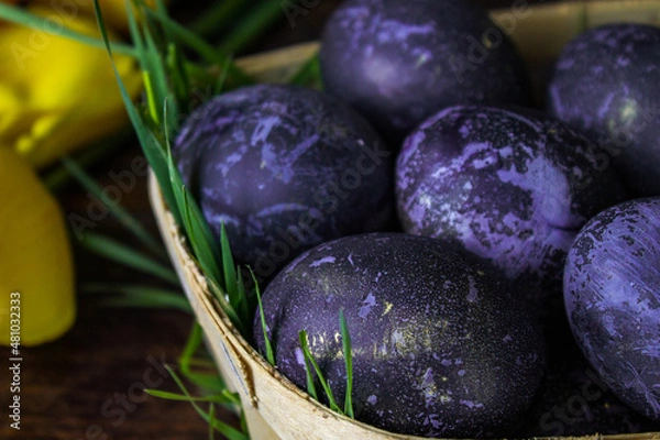 Fototapeta Bright Easter eggs in a wooden basket on a dark background. Yellow tulips on the background. The color of 2022 is Very Perry. Easter holiday creative concept background