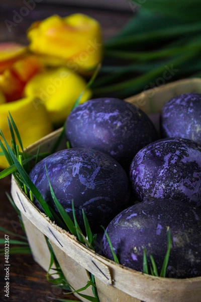 Fototapeta Bright Easter eggs in a wooden basket on a dark background. Yellow tulips on the background. The color of 2022 is Very Perry. Easter holiday creative concept background