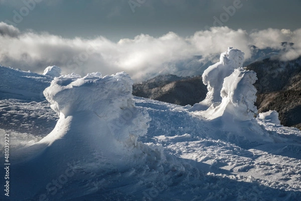 Fototapeta abstract snow structures in forest in winter day in highland