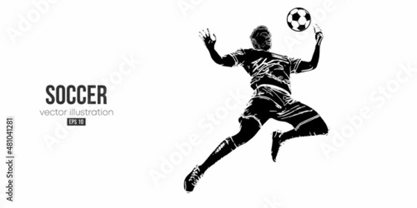 Fototapeta football soccer player man in action isolated white background. Vector illustration