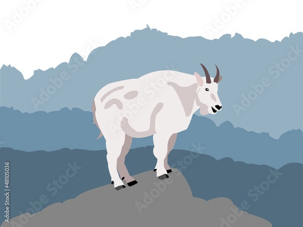 Fototapeta Mountain goat