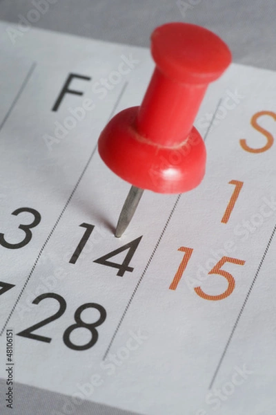 Obraz pims_20090130_as0029