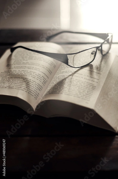 Obraz book and glasses