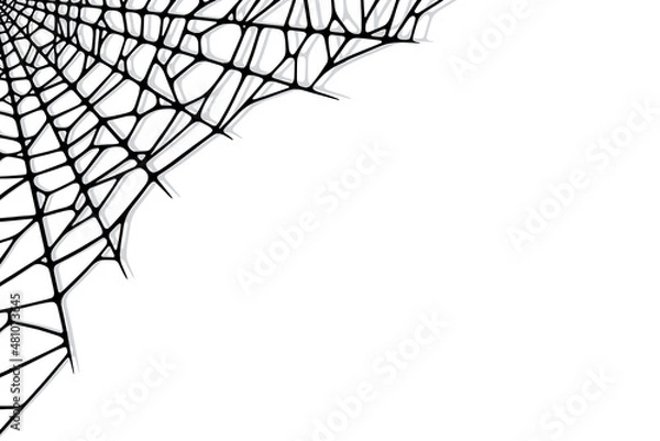 Fototapeta Spider web corner on white background. Spooky Halloween cobweb. Handrawn vector illustration