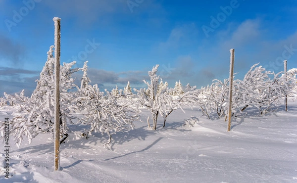Obraz Karkonosze , zima