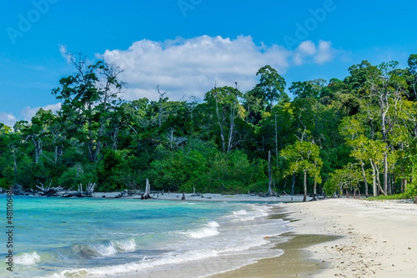 Obraz Elephant Beach, Havelock Island, Andaman, India
