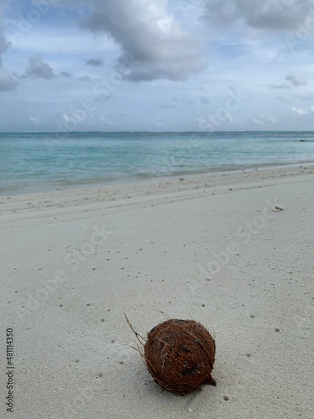Fototapeta Evening in the Maldives, view of the Indian Ocean with white sand, coconut and azure water