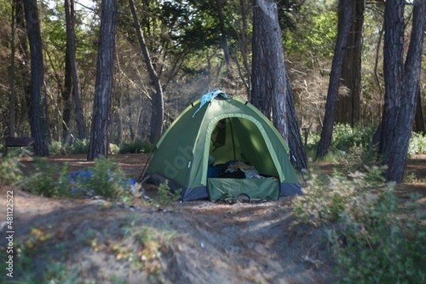 Fototapeta Tent in the forest on the Black Sea 
