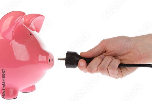 Fototapeta Power plug in a hand