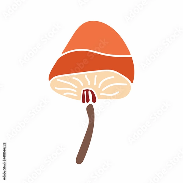 Obraz Mashroom hand drawn element. Jpeg image.