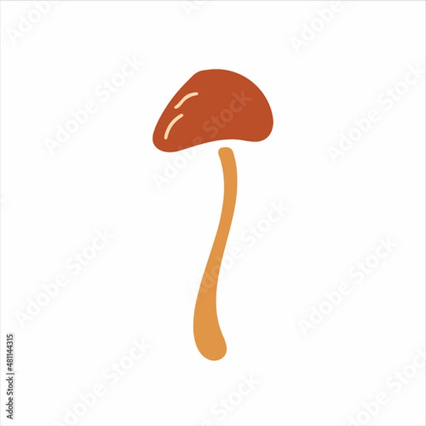 Obraz Mashroom hand drawn element. Jpeg image.
