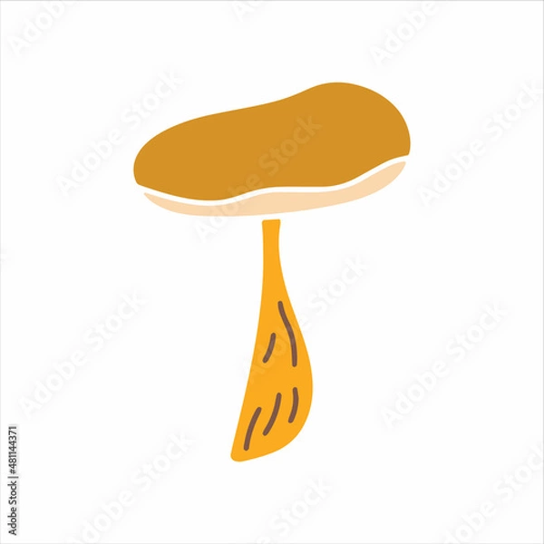 Obraz Mashroom hand drawn element. Jpeg image.