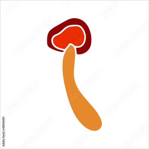 Obraz Mashroom hand drawn element. Vector illustration.